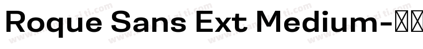 Roque Sans Ext Medium字体转换